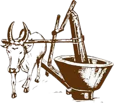 kolhu