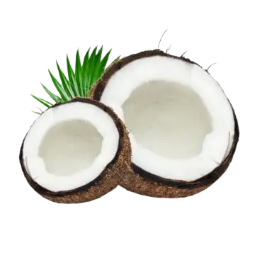 GAVYASHREE